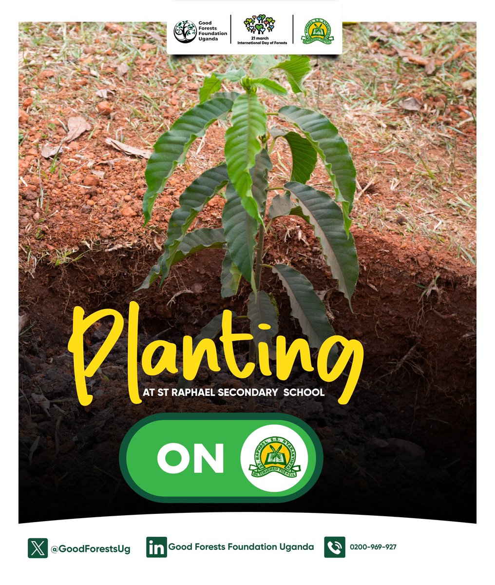 JamesThembo_'s tweet image. Now let’s go get our hands dirty 🌱😂