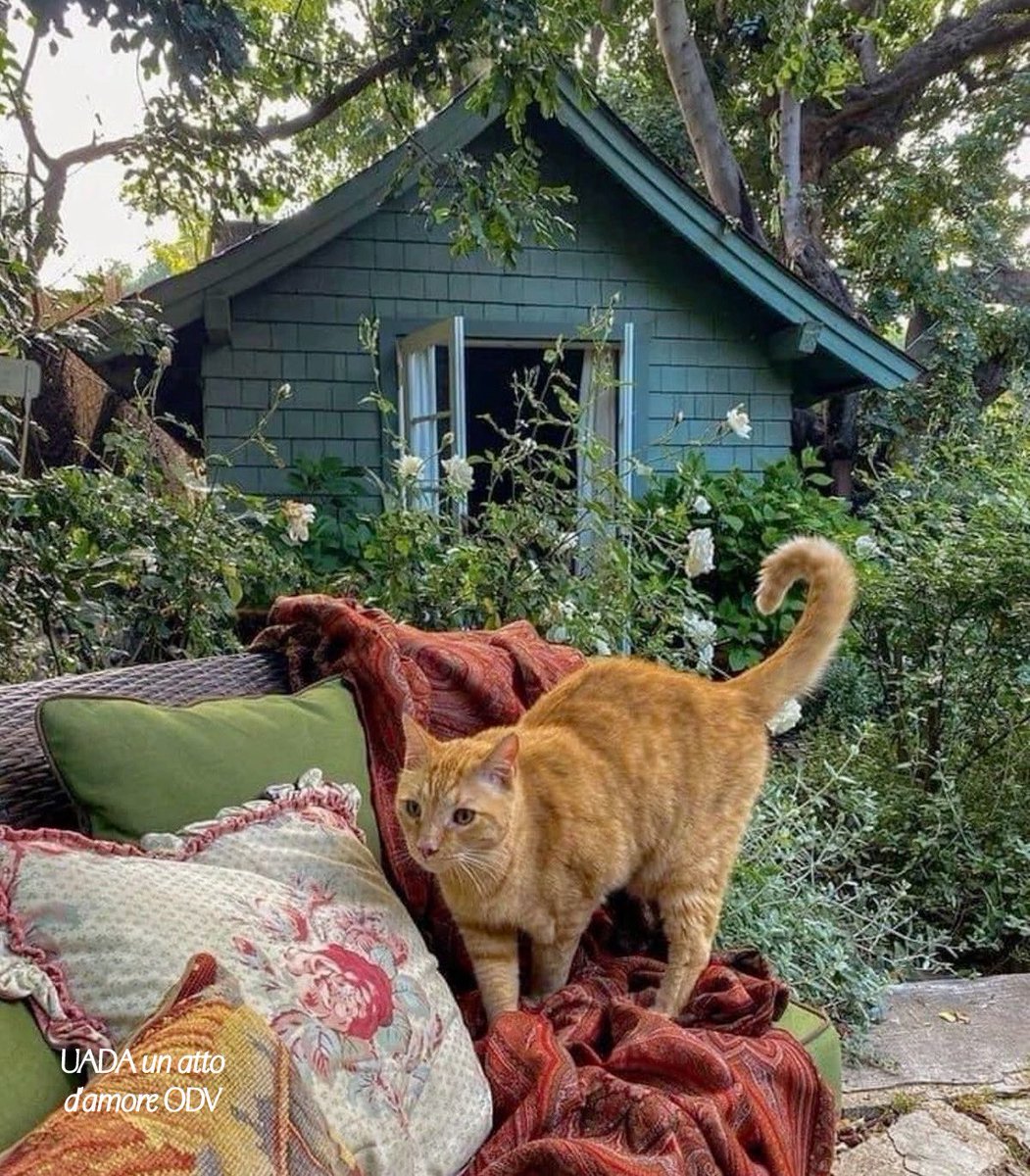 Patrizia tweet media