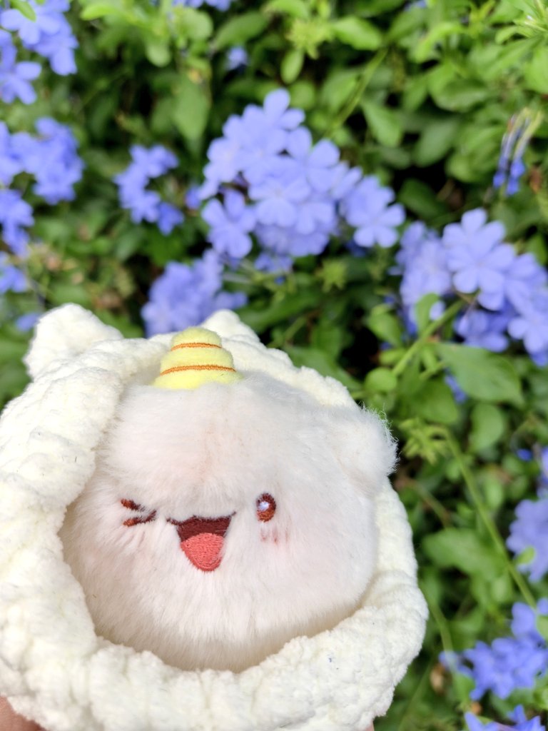 🍅☆๋࣭ ⭑คุณก้อนกลม tweet media