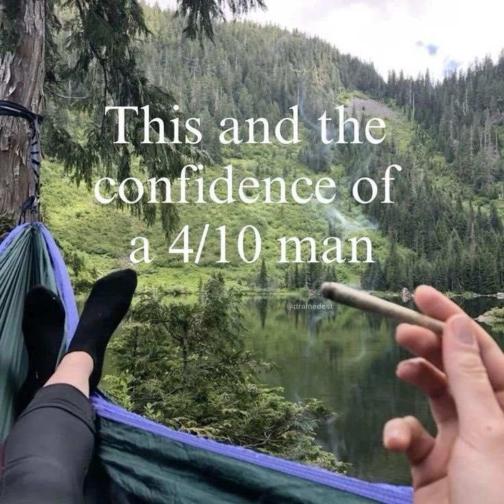 femmenotes tweet media