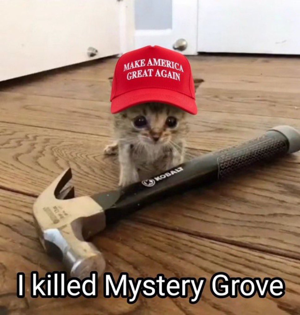 STORM (stealer of memes)🇺🇸🍊 tweet media