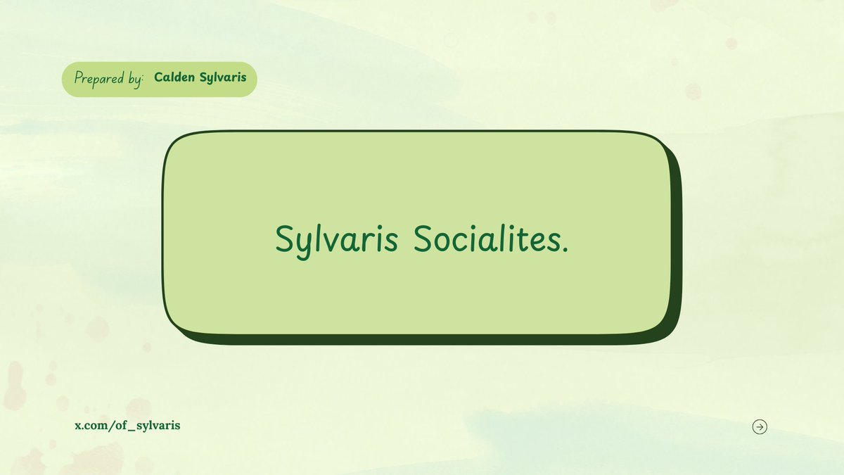 Calden Sylvaris tweet media
