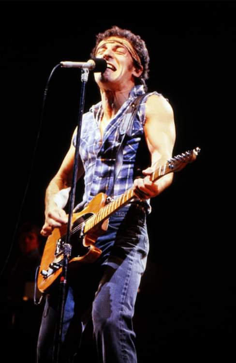 South Londoner tweet media