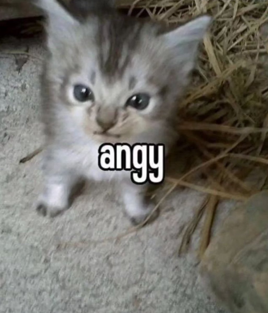 haze ✩ tweet media