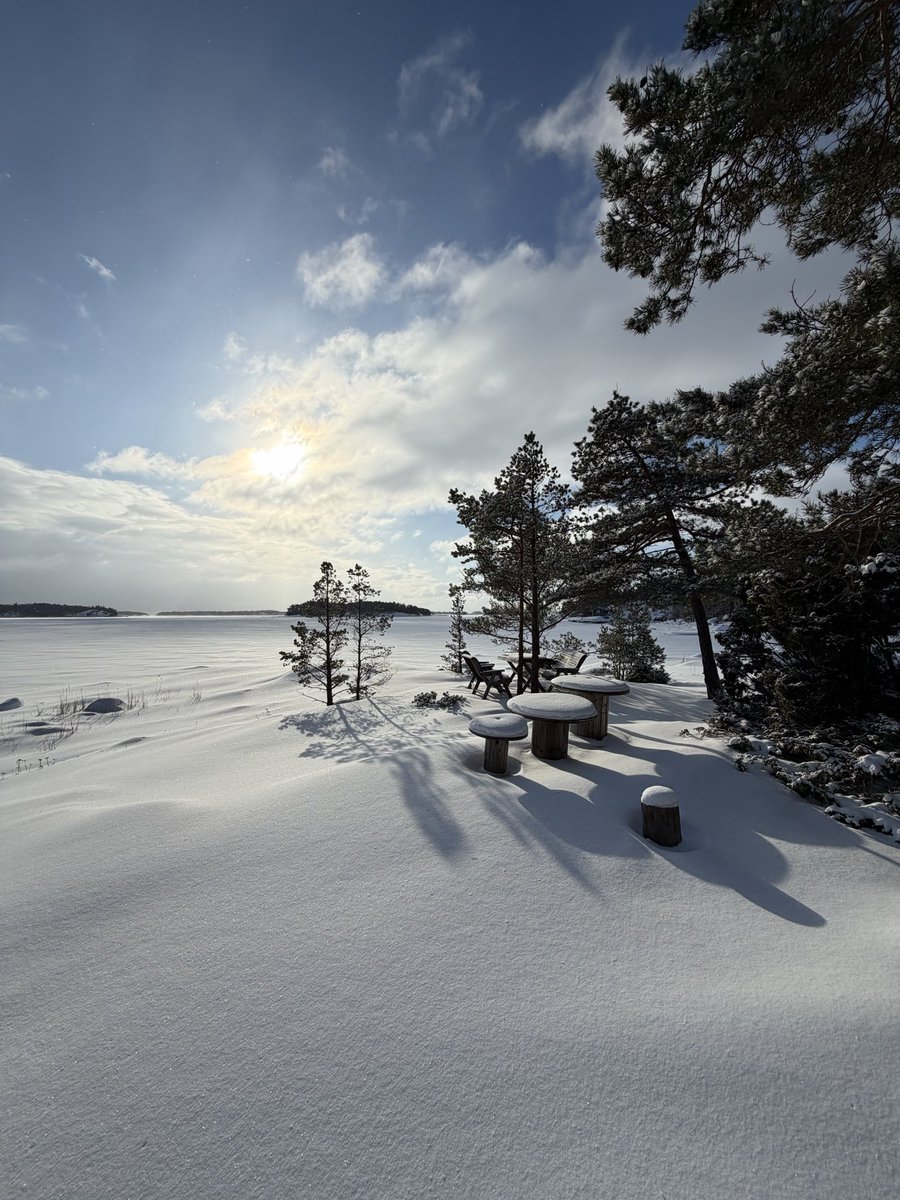 Alexander Stubb tweet media