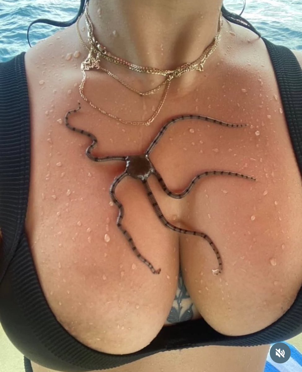 Melian Refugee tweet media