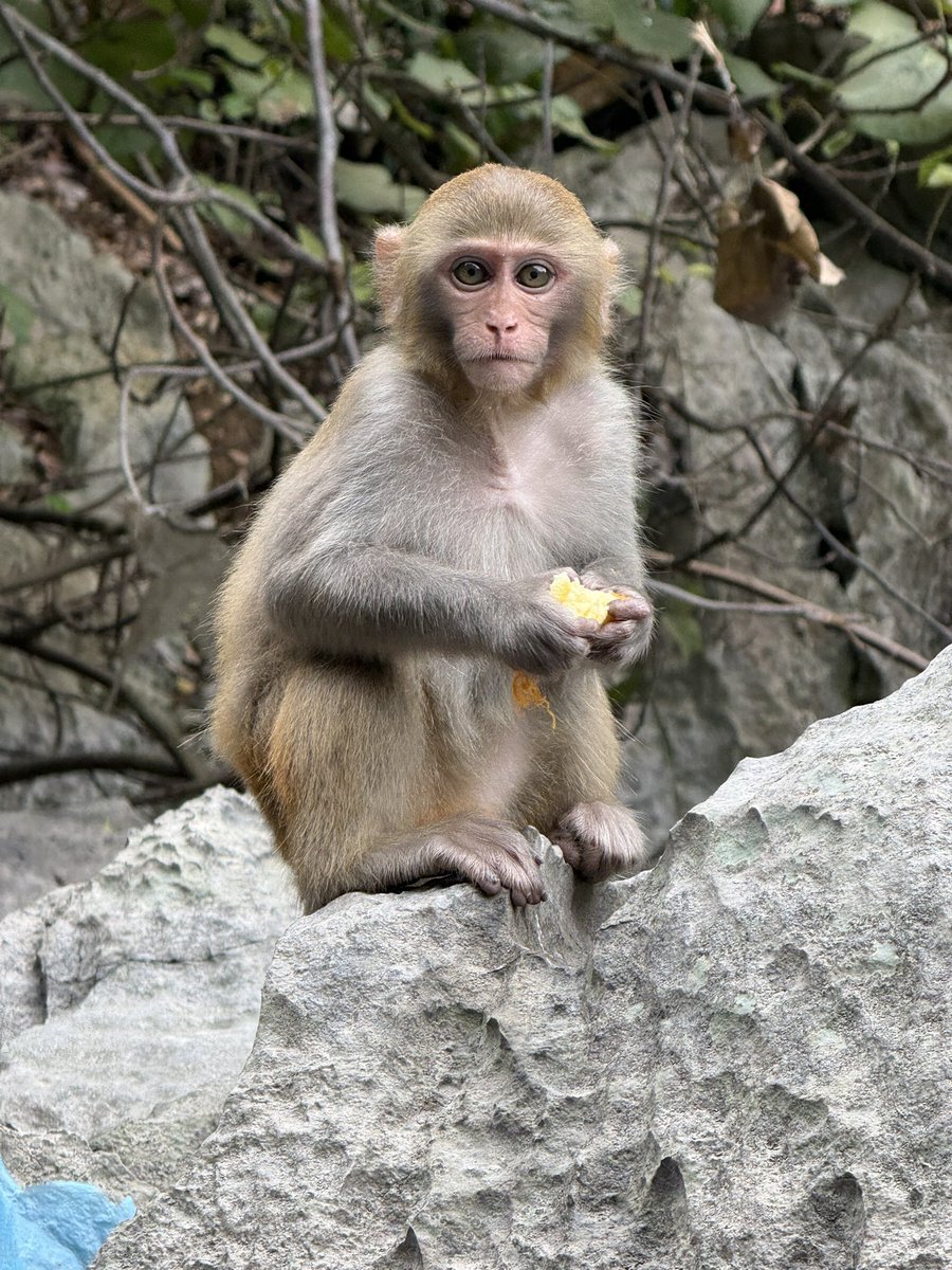 Jack Nolan tweet media