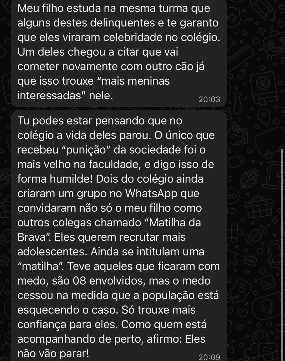 SC não é seguro pros animais, por favor alguém o acolha, os assassinos estão planejando mais matança
