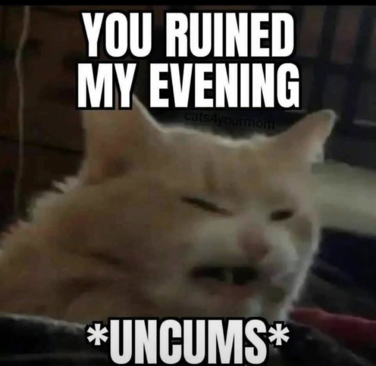 Angelo 💎 tweet media