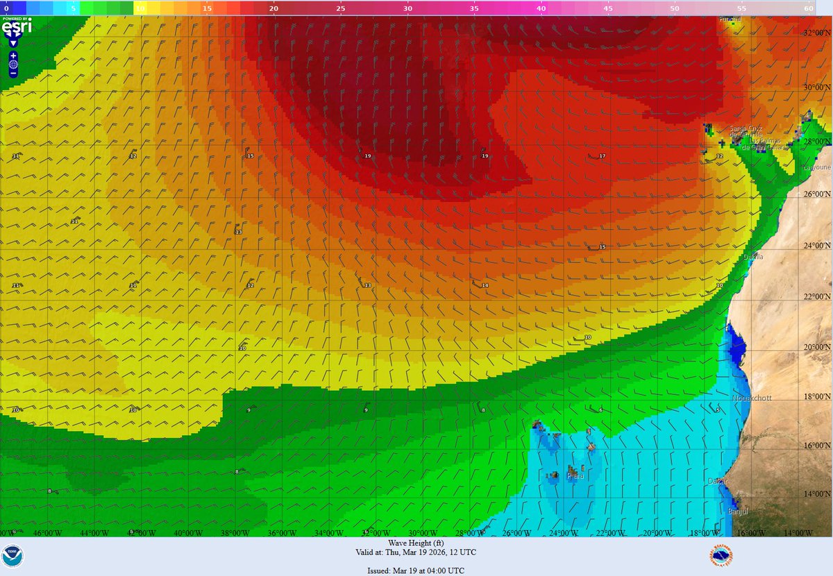 NHC_TAFB's tweet image. 3/19 - A large storm-force low in the NE Atlantic is generating rough to very rough seas across much of the central &amp;amp; eastern tropical Atlantic. 🌊

Conditions are expected to improve late this weekend into early next week.

More: hurricanes.gov/marine #marinewx #weatheraware