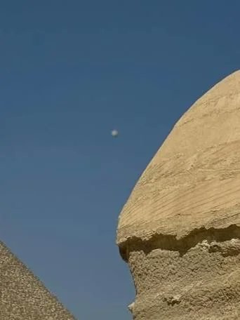 UFO mania tweet media