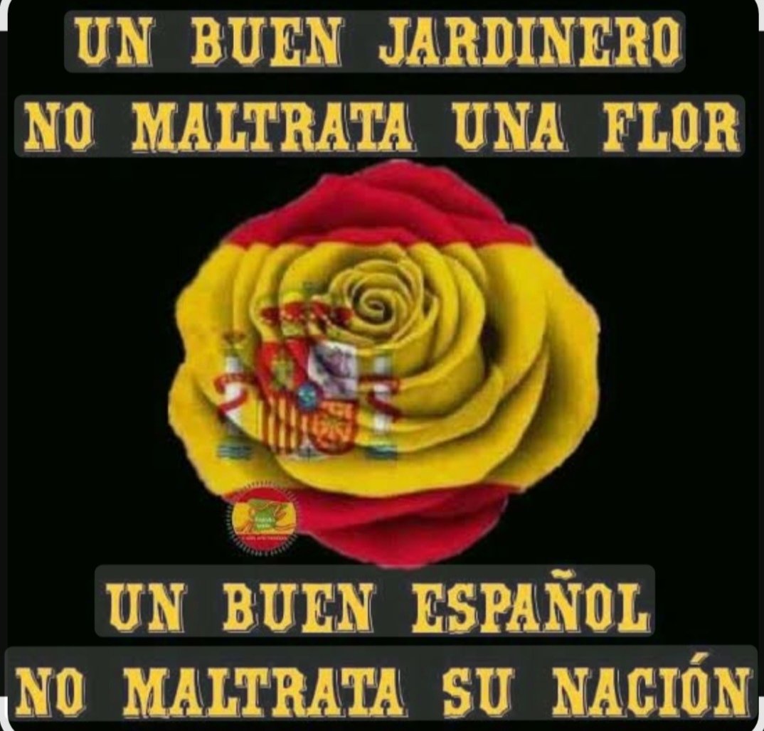 Voxquerón 🇪🇦🇪🇦🇪🇦💚💚💚💪💪💪 tweet media