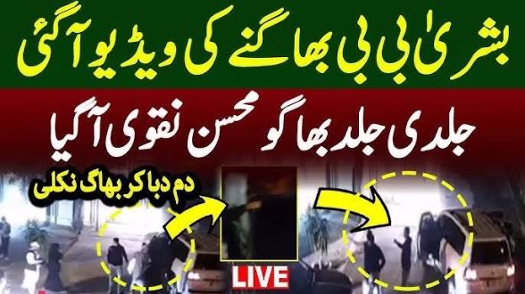 Political Majesty tweet media