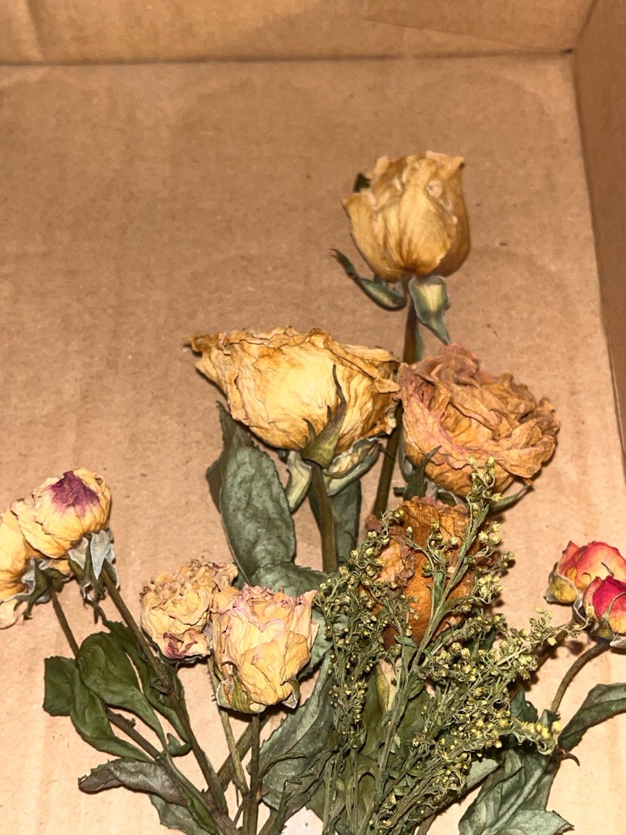 Luis Rivera tweet media