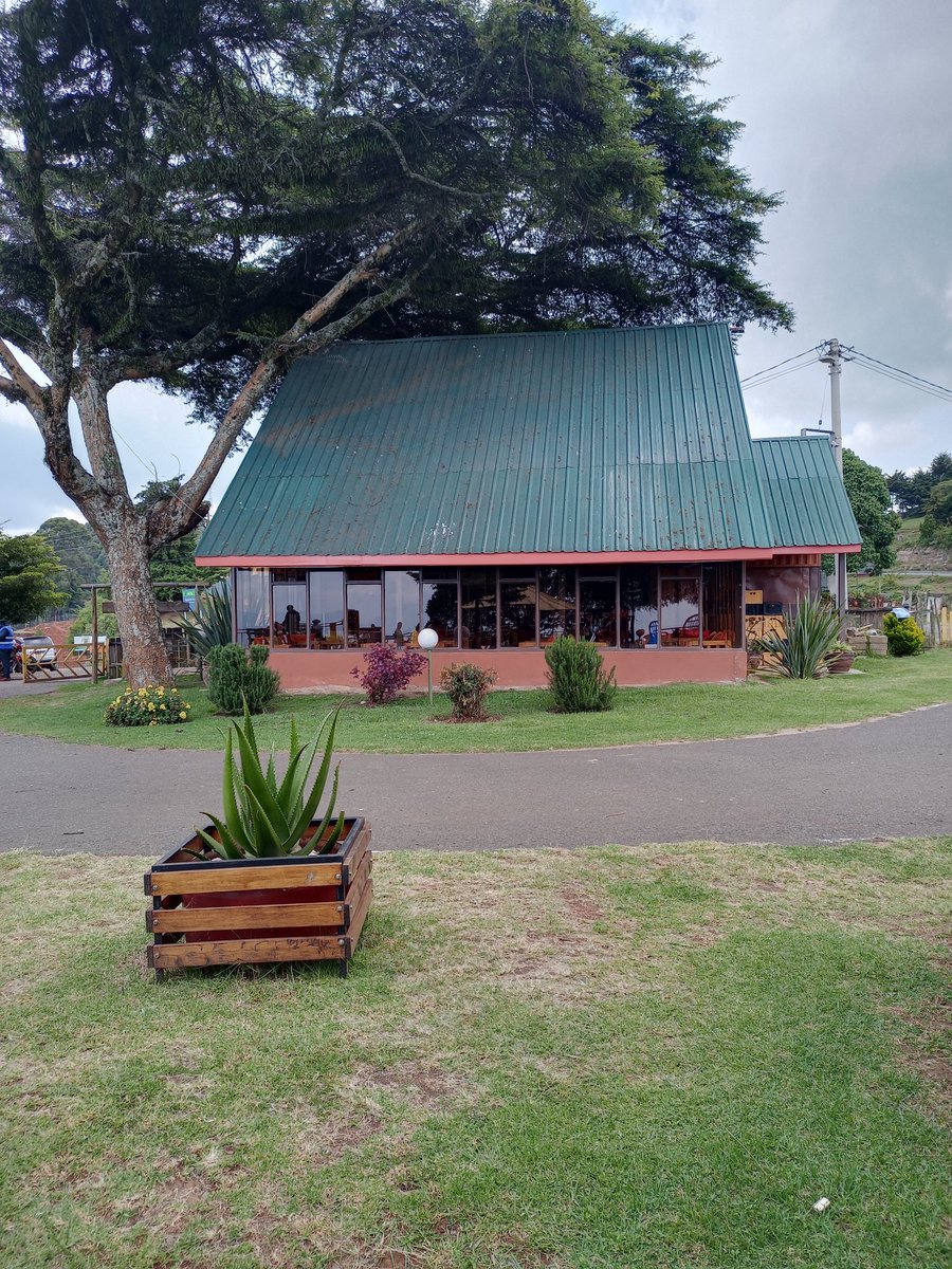 𝕿𝖍𝖊 𝕰𝖑𝖉𝖔𝖗𝖎𝖆𝖓 tweet media