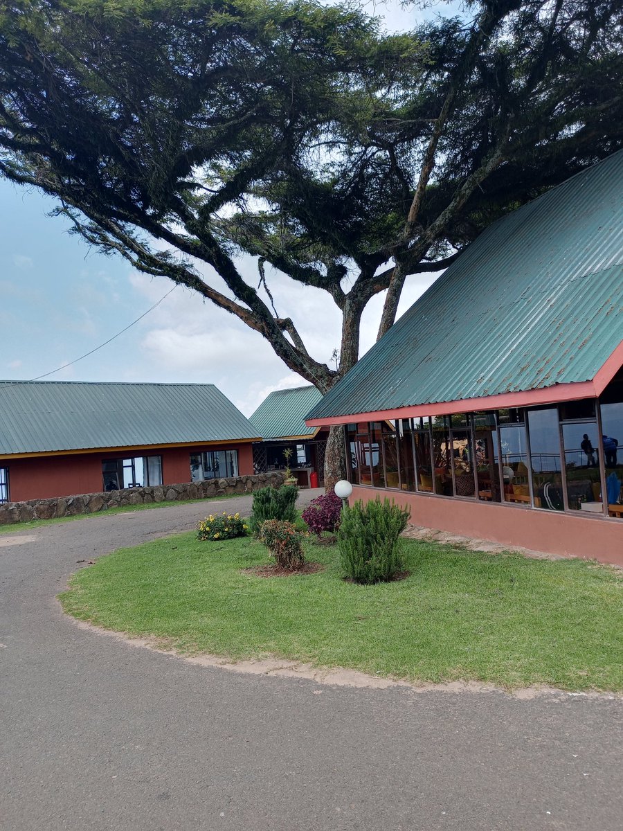 𝕿𝖍𝖊 𝕰𝖑𝖉𝖔𝖗𝖎𝖆𝖓 tweet media