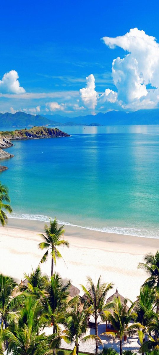 Mr Perfect tweet media