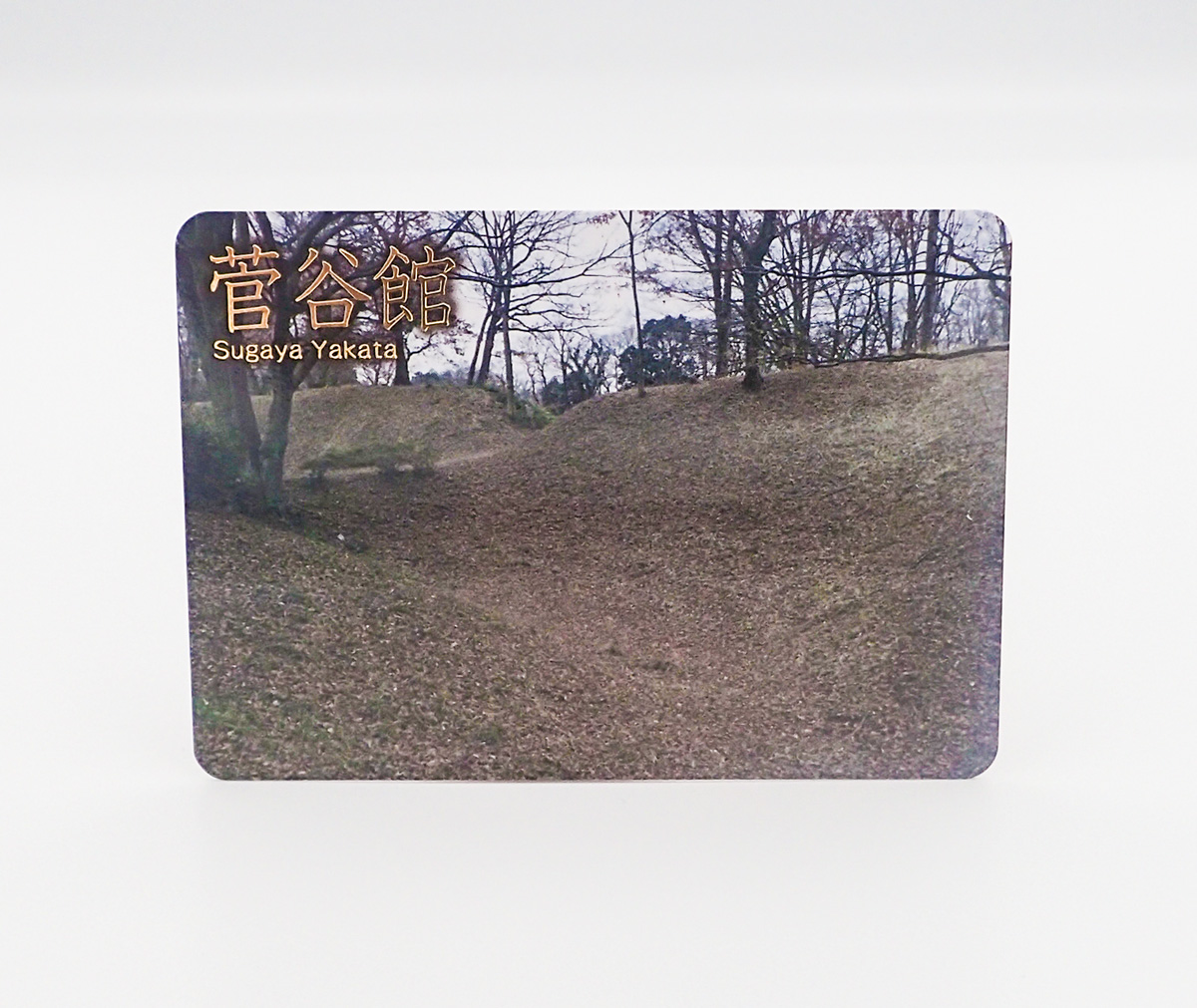 埼玉県立嵐山史跡の博物館 tweet media