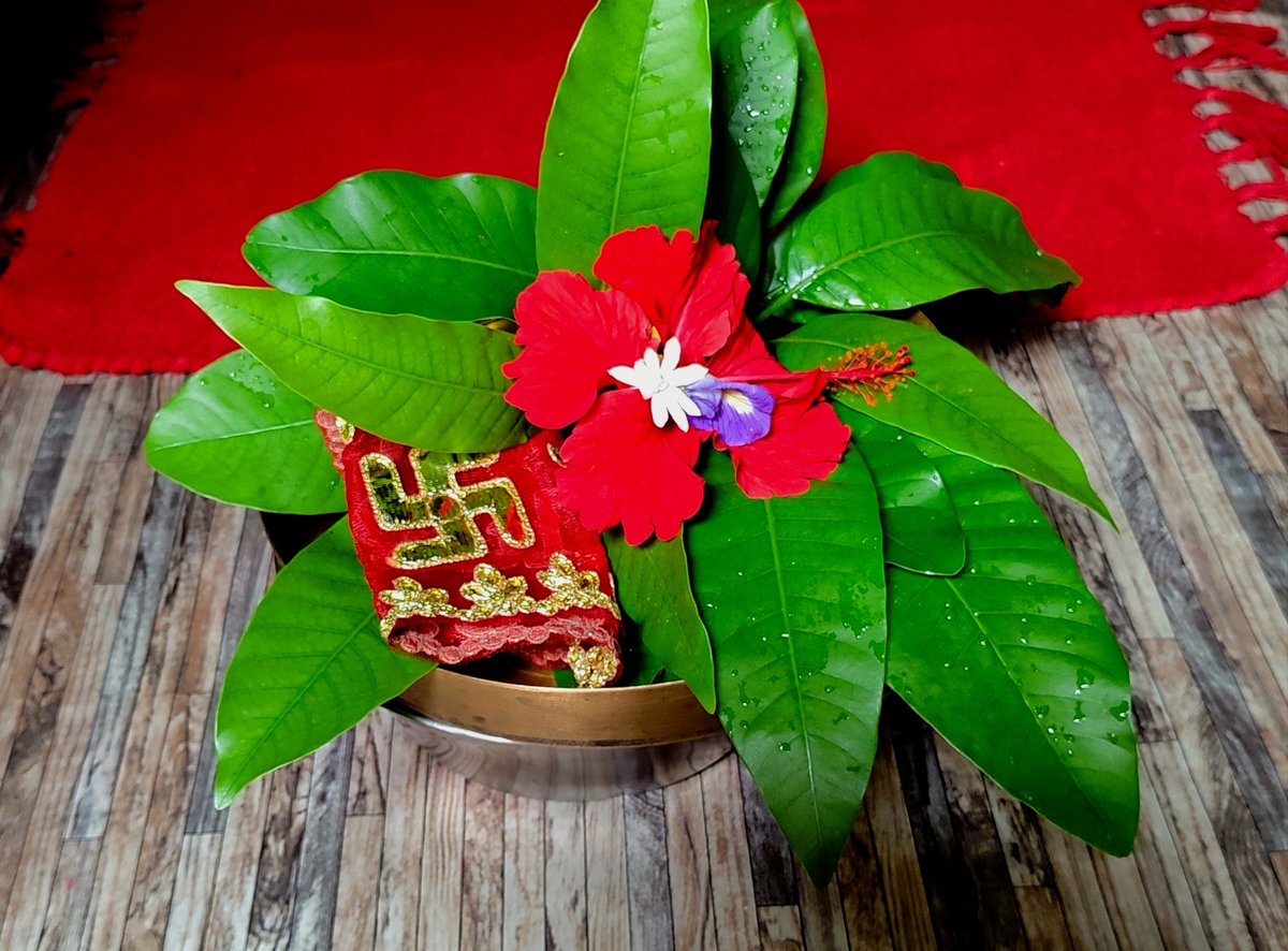 The_Maya tweet media