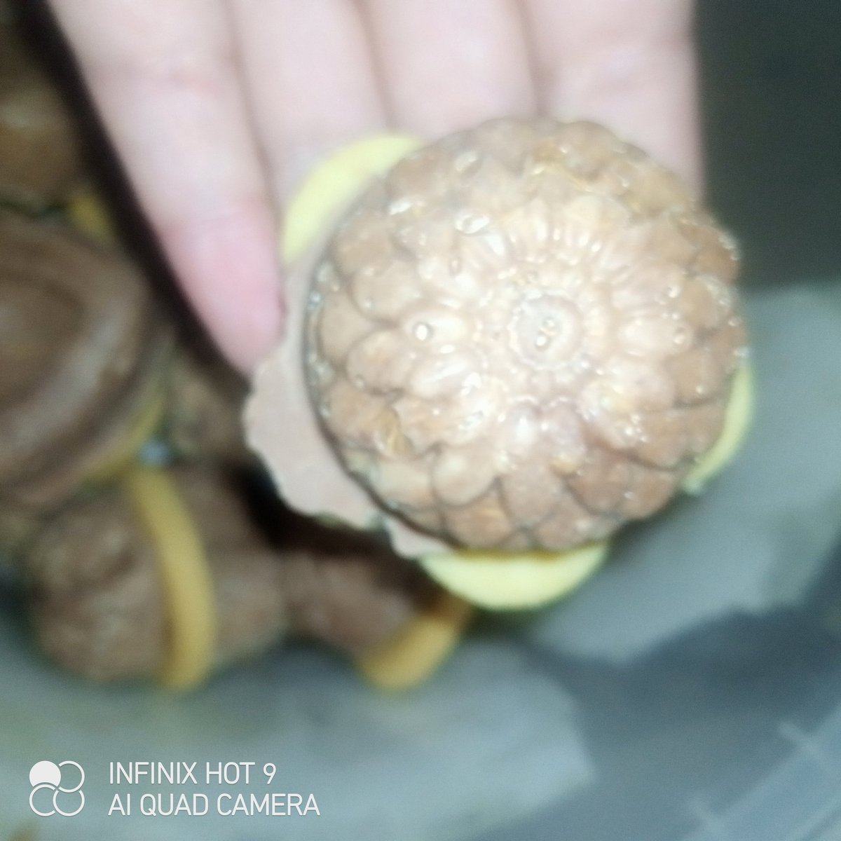 ملايكةصغيرة tweet media