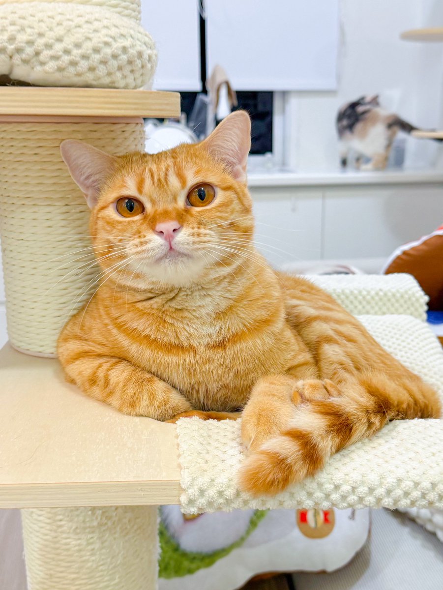 DNVP 💋 (Malonfamily) tweet media