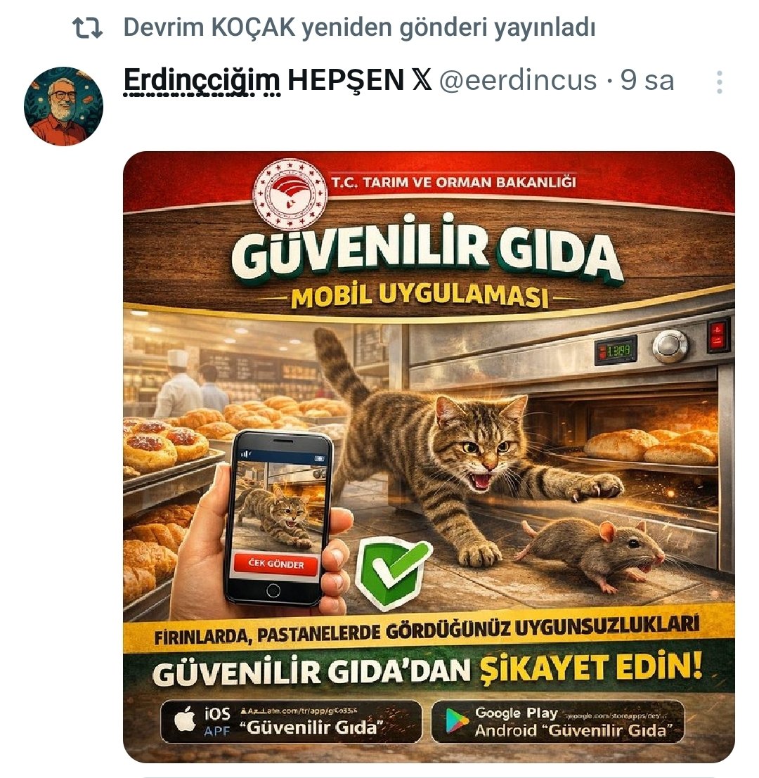 Cemal Alp Solak tweet media