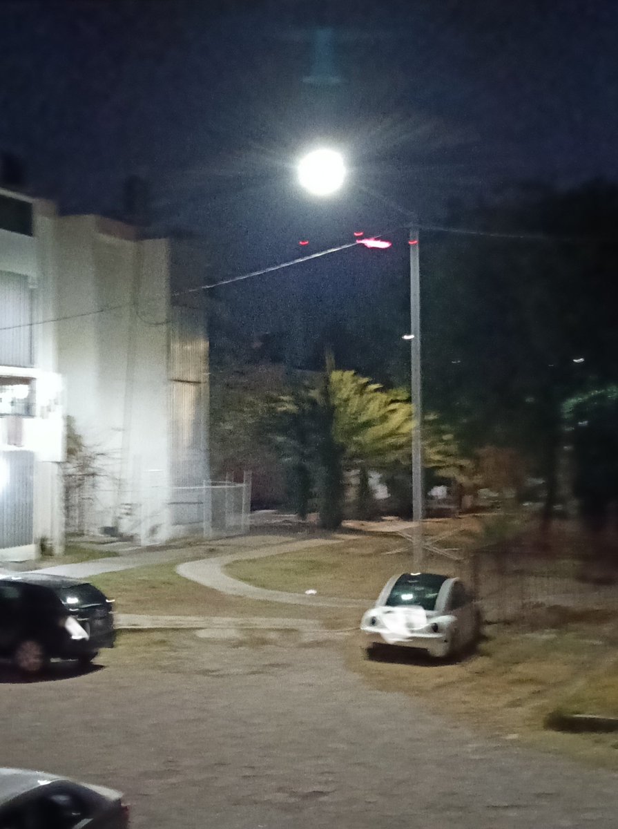 🥋🥇 tweet media