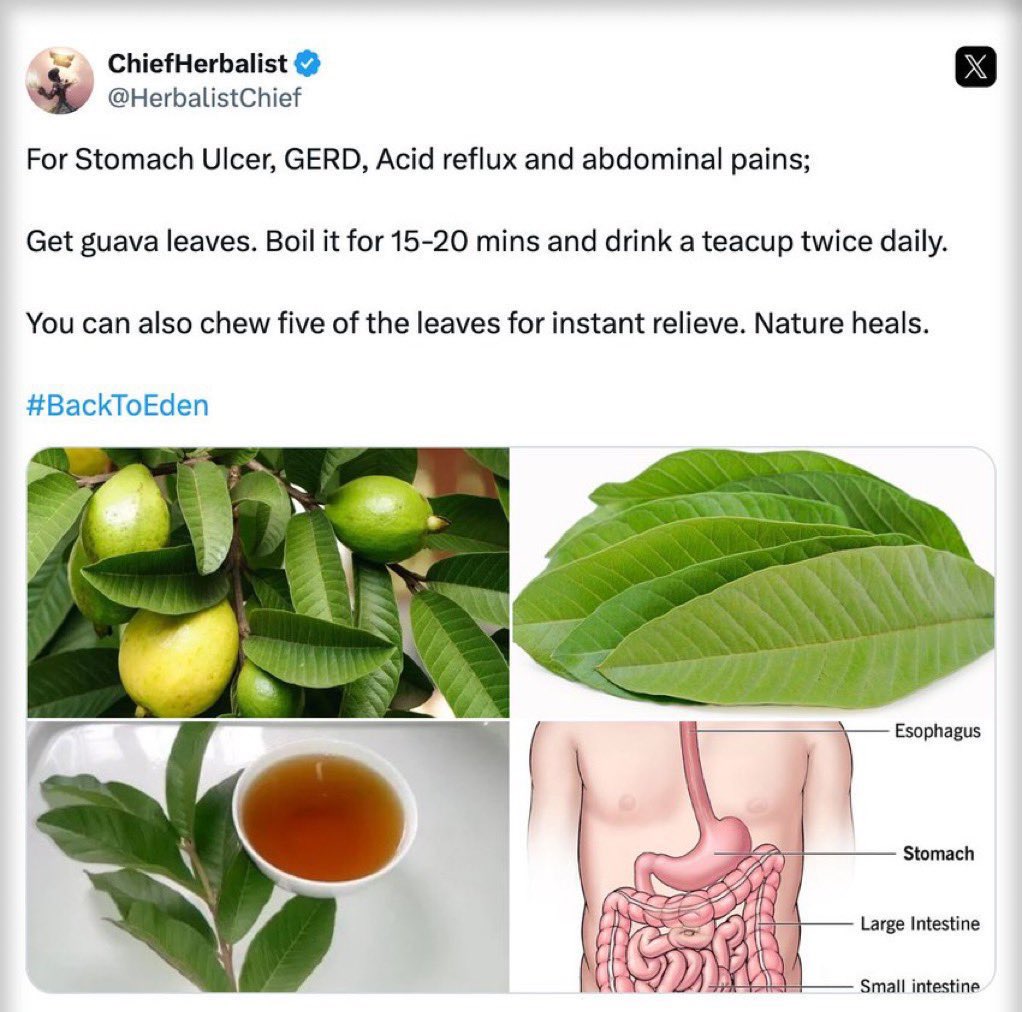 Ri!!!🇧🇧 tweet media