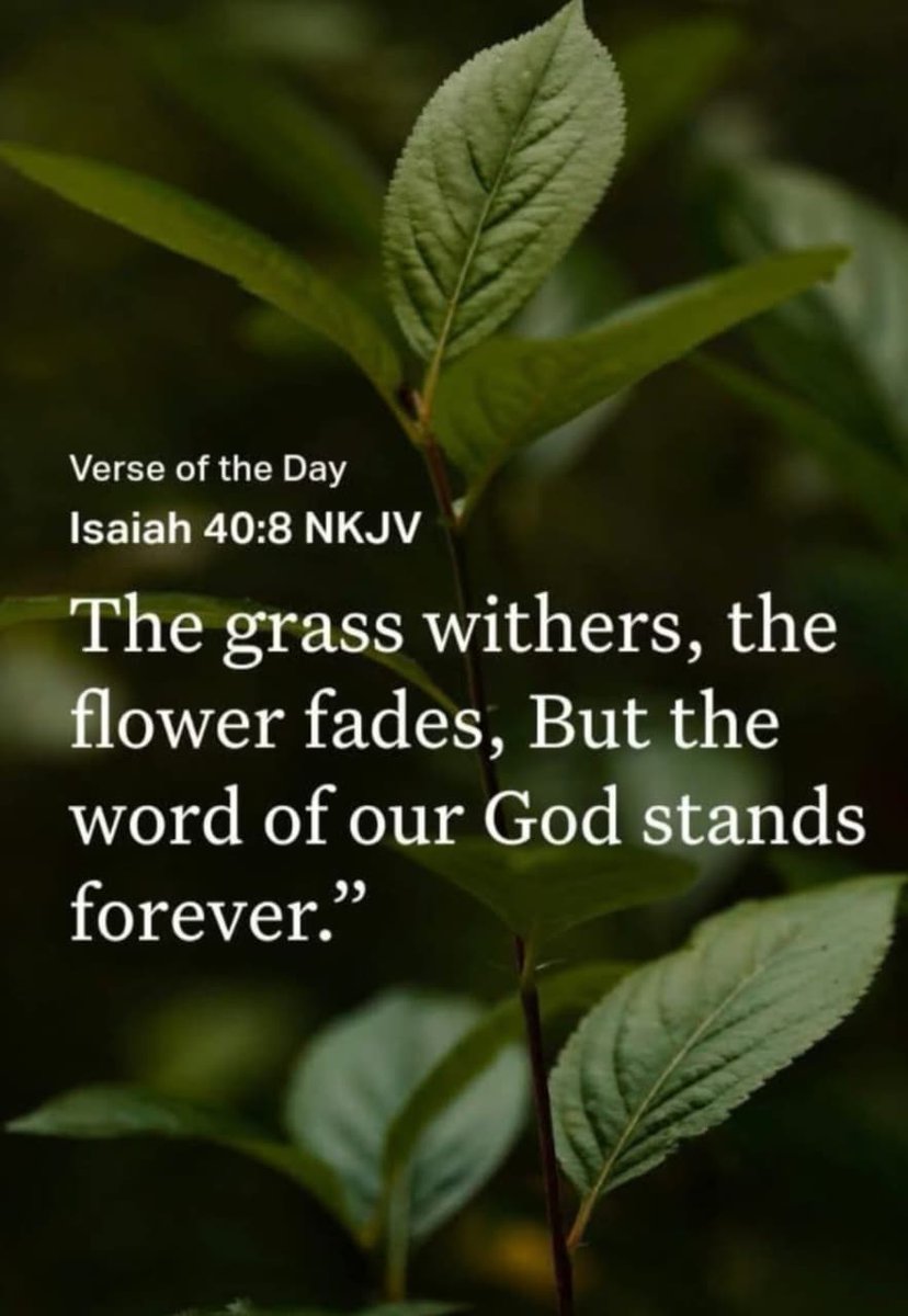 Verse of the day 
Isaiah 40:8