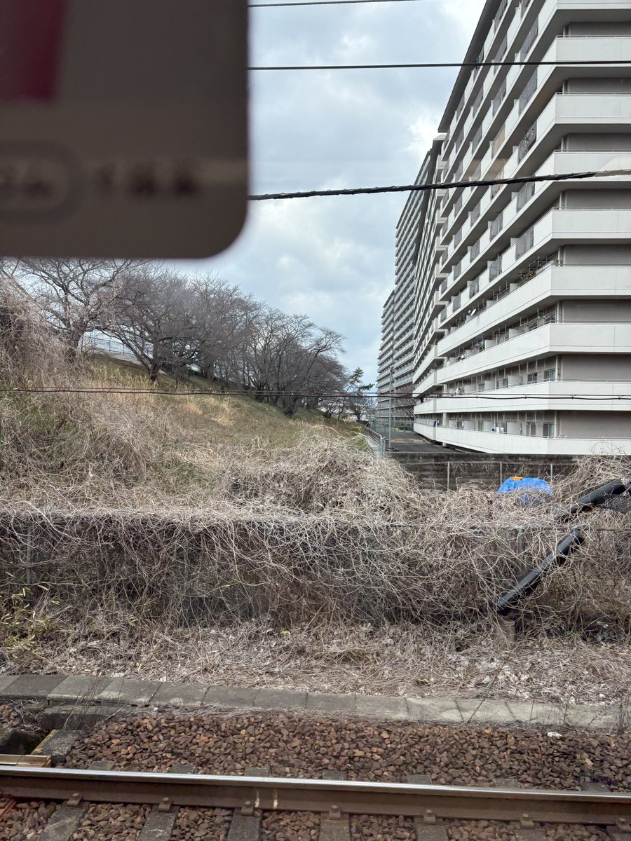 su5_fish's tweet photo. シャルマンの裏の堤防 https://t.co/Qr0wpQRhYX