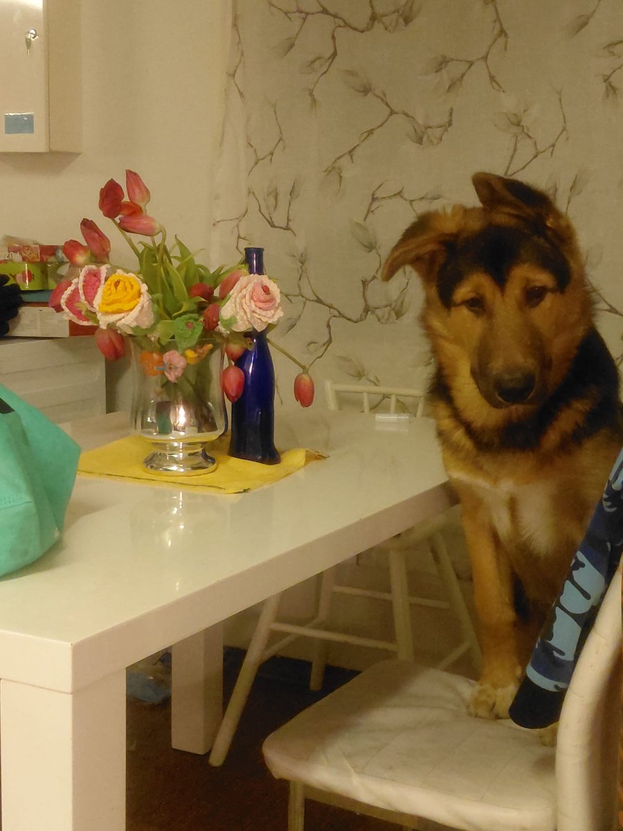 Kirsulan residenssi tweet media