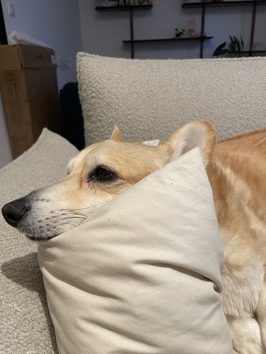 Kyle Galbraith tweet media