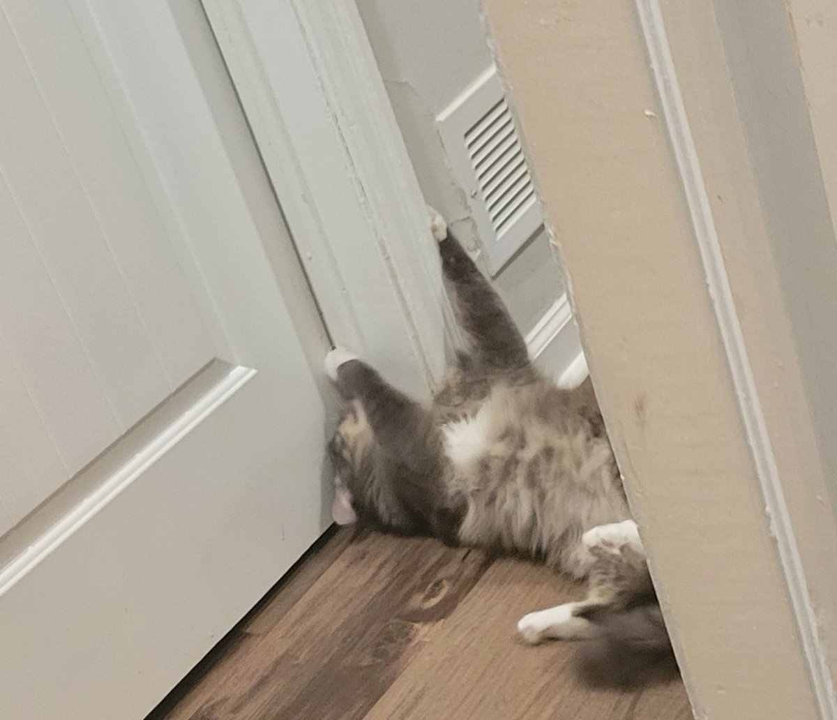 Kya, the God Empress of Mankind tweet media