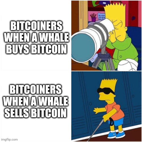 Maximillion⚡️∞/21M tweet media