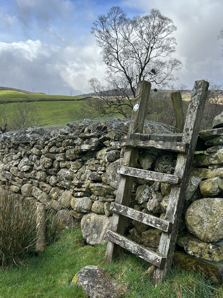 elizabeth tutty tweet media