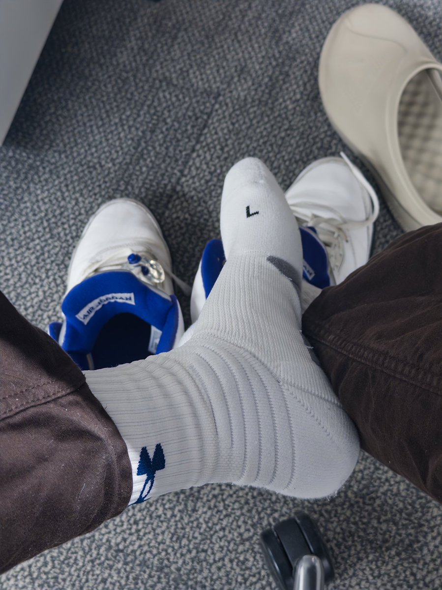 example233 tweet media