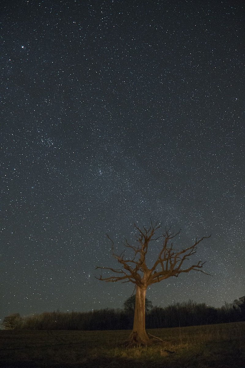 South Downs National Park tweet media