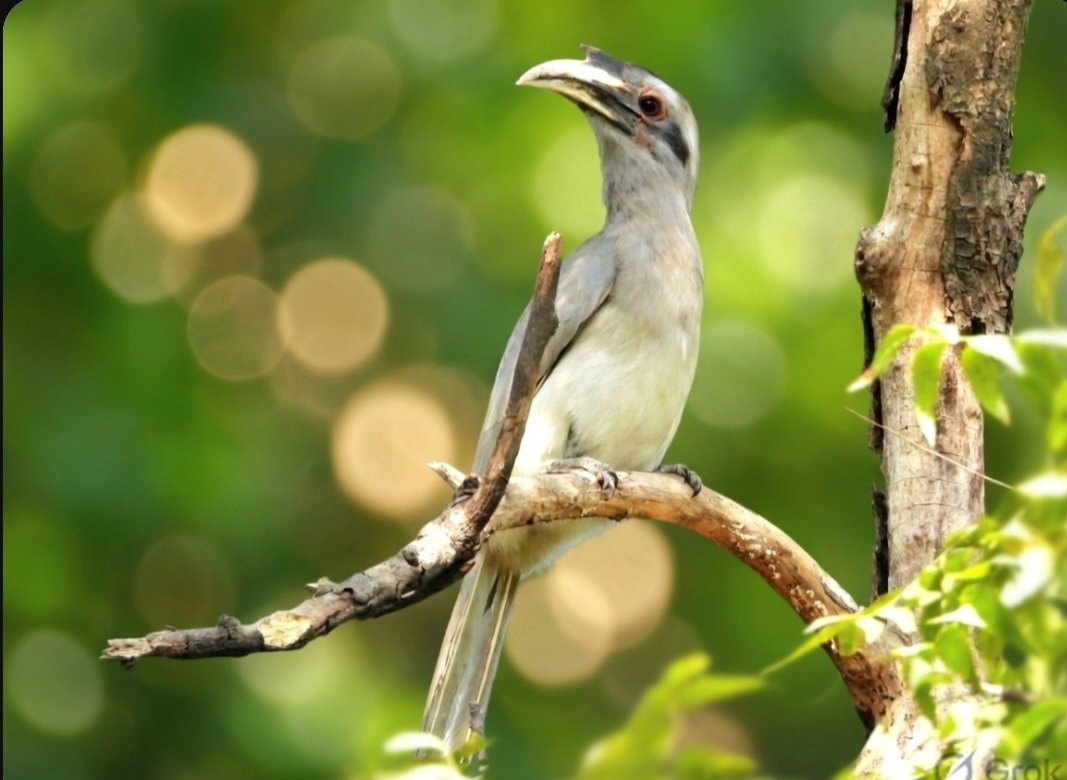 anu mathur tweet media