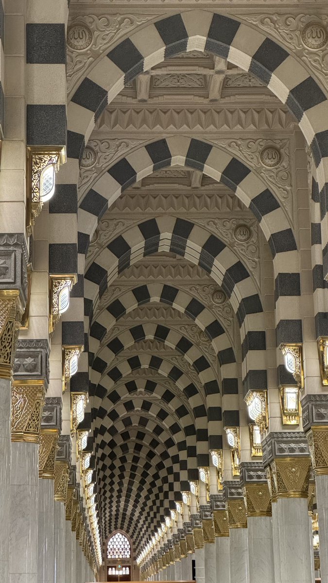 البـدر tweet media