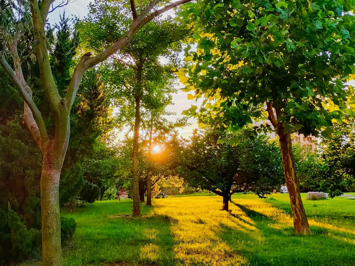 Job Posting tweet media