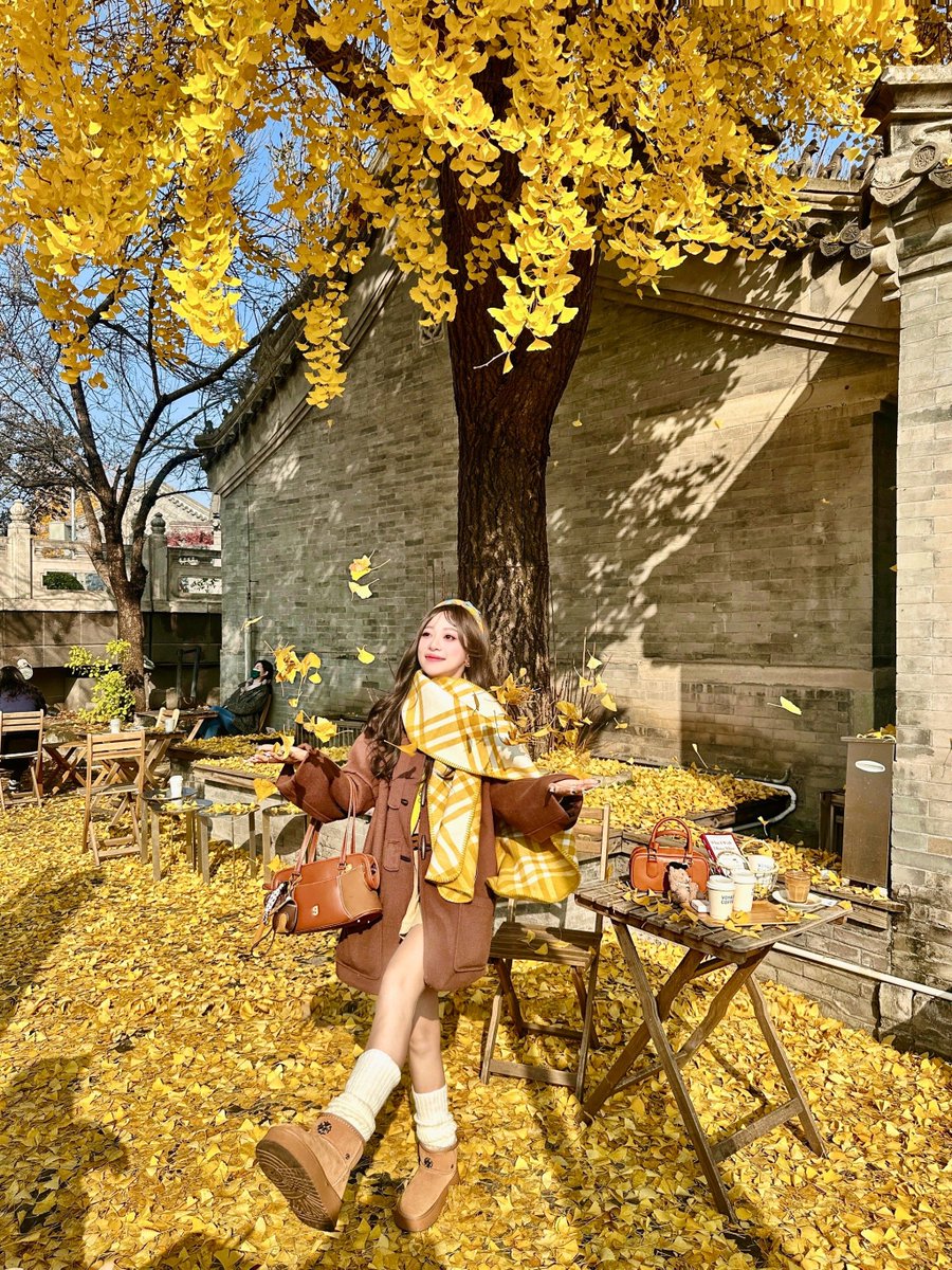 BiaTvPlus tweet media