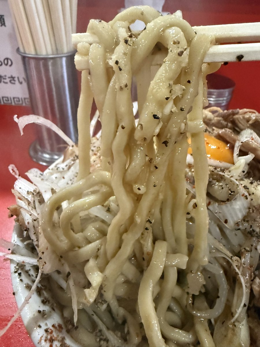 ラーメン池田屋円町店 汁なし400白葱🧀フライド🧅🧄野菜アブラ 汁なし