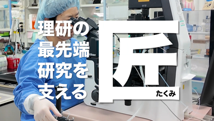 RBRC_iDED_jp's tweet photo. 理研のYoutubeチャンネル新シリーズ「ダイバーシティ～誰もが活躍できる研究所」の第一弾として、当室の越後貫さんが紹介されています！ぜひご覧下さい。
https://t.co/yjDs1NtGil
https://t.co/OhsJJzUKmc https://t.co/558y8QDBxY