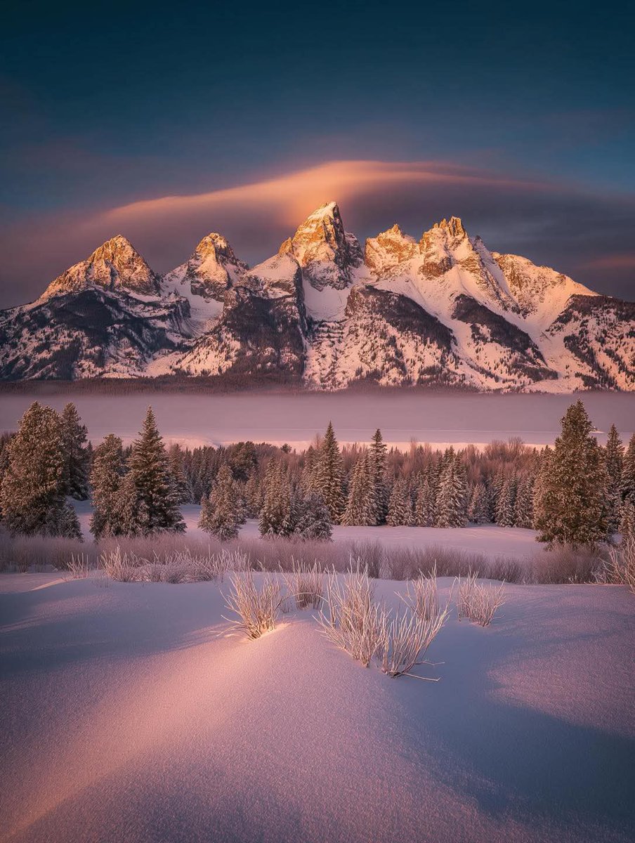 CityVibesX tweet media