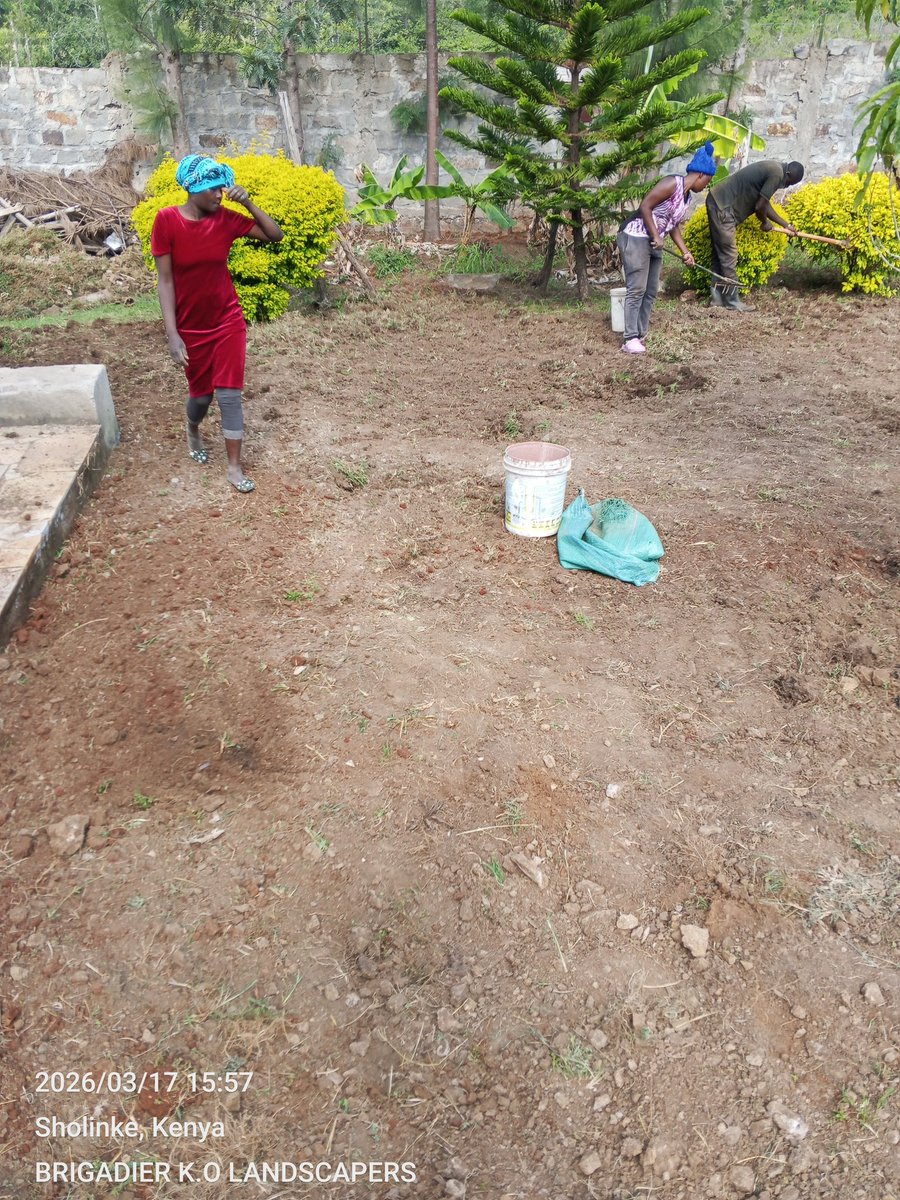 Brigadier_Kenya's tweet image. 0729223329
#Landscaping #LandscapersNairobiKenya #LawnGrass #PembaGrass #CobaltGrass #ZimbabweGrass #ArabicaGrass #RedSoil #Gardening #Stabex Haiti Mission Success #RaphaelTuju last statement Ocs Peter Mugambi Patrick Njiru Public Health #MainaAndKingangi #nairobihospital 

Karen