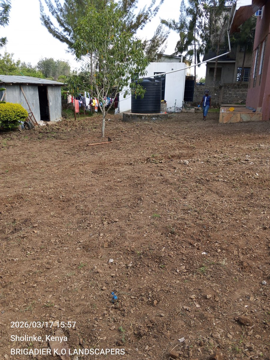 Brigadier_Kenya's tweet image. 0729223329
#Landscaping #LandscapersNairobiKenya #LawnGrass #PembaGrass #CobaltGrass #ZimbabweGrass #ArabicaGrass #RedSoil #Gardening #Stabex Haiti Mission Success #RaphaelTuju last statement Ocs Peter Mugambi Patrick Njiru Public Health #MainaAndKingangi #nairobihospital 

Karen