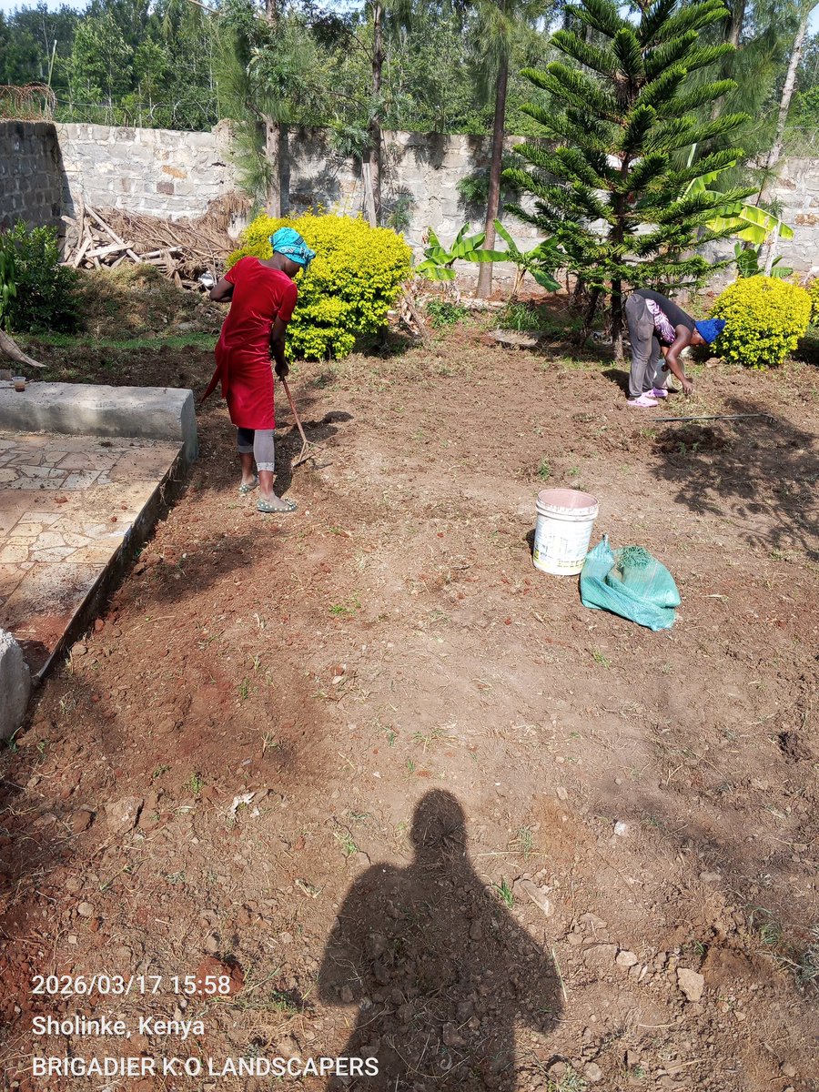 Brigadier_Kenya's tweet image. 0729223329
#Landscaping #LandscapersNairobiKenya #LawnGrass #PembaGrass #CobaltGrass #ZimbabweGrass #ArabicaGrass #RedSoil #Gardening #Stabex Haiti Mission Success #RaphaelTuju last statement Ocs Peter Mugambi Patrick Njiru Public Health #MainaAndKingangi #nairobihospital 

Karen