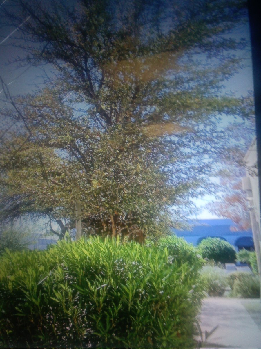 Gay Pratt tweet media