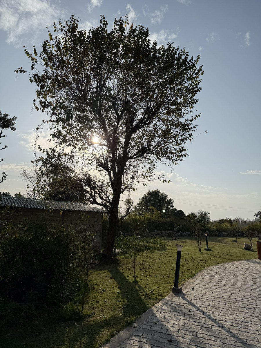 Shraavani Tople tweet media