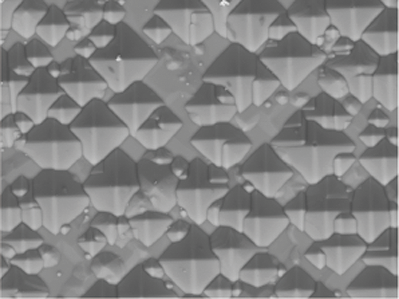 Hitachi Electron Microscope tweet media